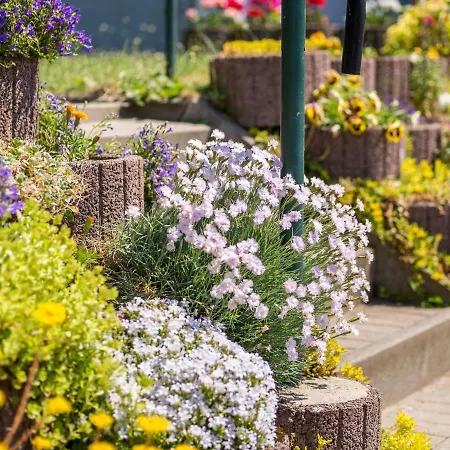 Apartment Schoene In An Der Ostsee *