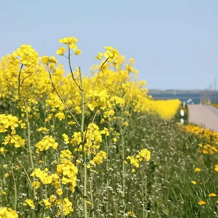 Schoene In An Der Ostsee Apartment