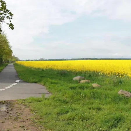 Schoene In An Der Ostsee