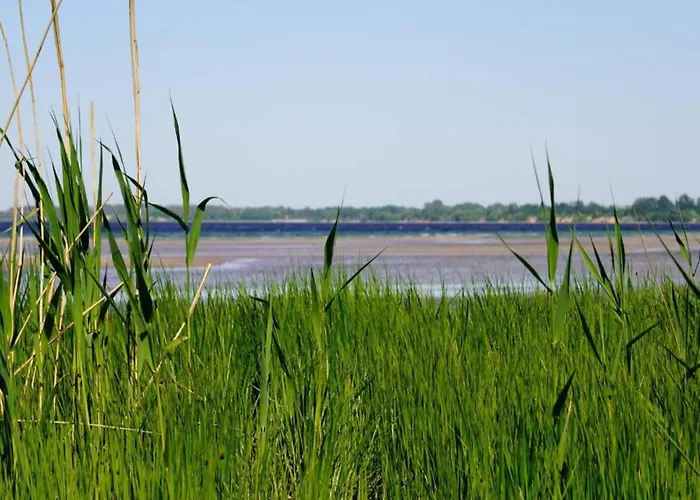 Schoene In An Der Ostsee Damshagen