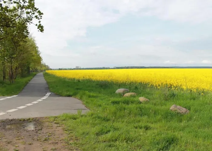 Schoene In An Der Ostsee
